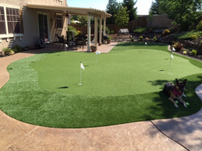  Artificial Turf & Putting Greens